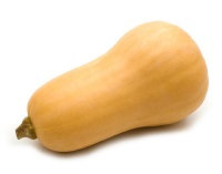 Butternut Squash